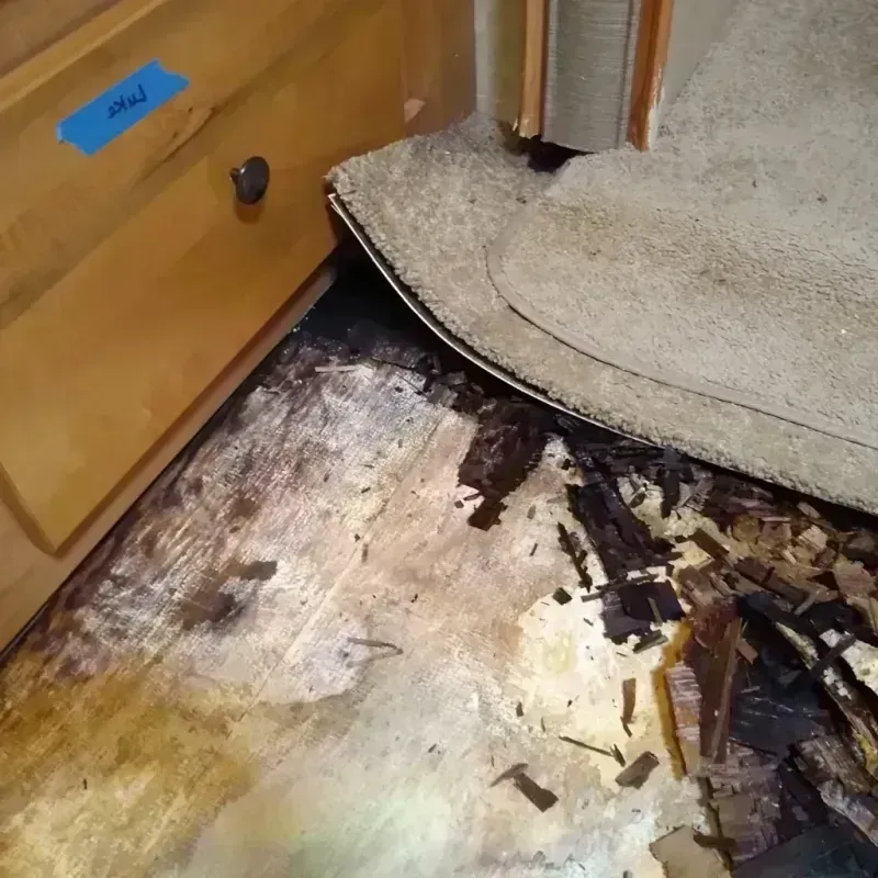 Wood Floor Water Damage in Searcy, AR